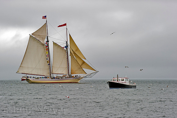 Old New