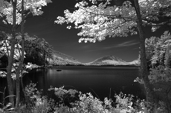 Eagle Lake