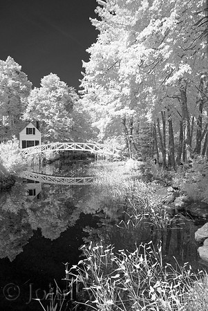 Bridge